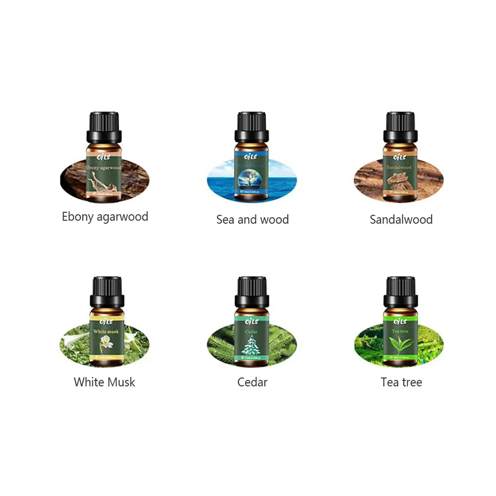 VibeVital™ PureScents – 6-Piece Essential Oil Set