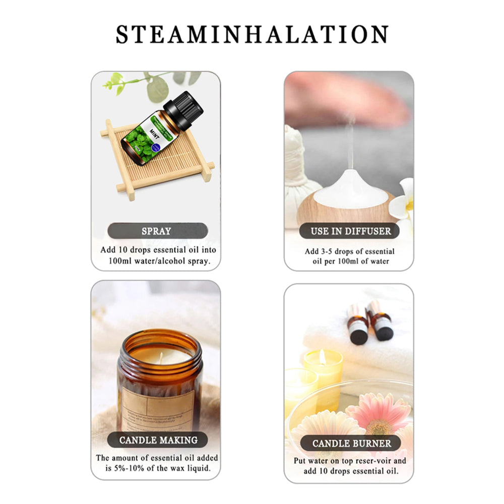 VibeVital™ PureScents – 6-Piece Essential Oil Set